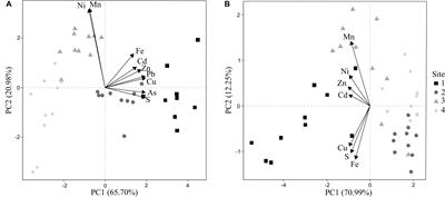 Ectomycorrhizal Fungal Communities and Their Functional Traits Mediate Plant–Soil Interactions in Trace Element Contaminated Soils